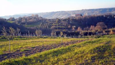 Terreno Agricolo in vendita a San Benedetto del Tronto