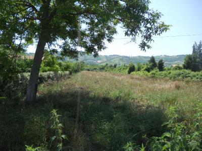 Terreno Agricolo in vendita a Spinetoli