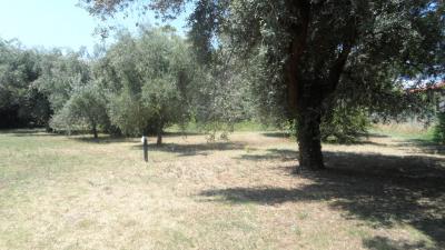 Terreno edificabile in vendita a Sant'Egidio alla Vibrata