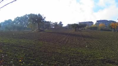 Terreno Agricolo in vendita a Monteprandone
