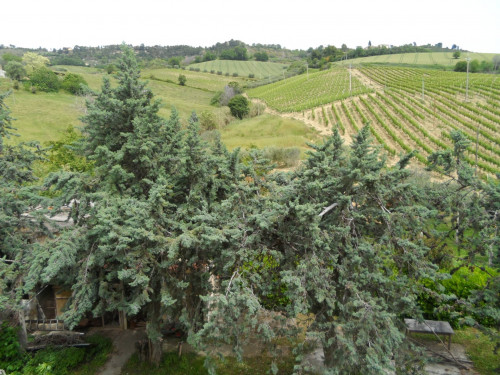 Casa singola in vendita a Ripatransone