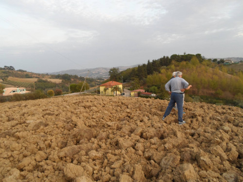 Terreno edificabile in vendita a Castorano