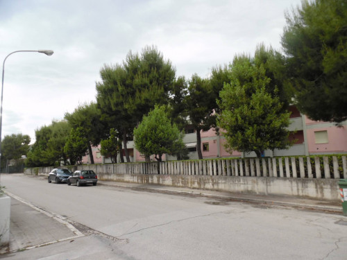 Appartamento in affitto a San Benedetto del Tronto