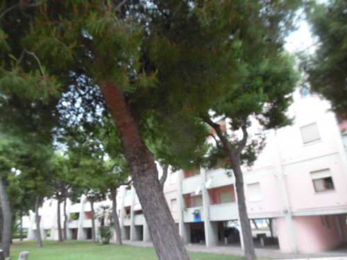 Appartamento in affitto a San Benedetto del Tronto