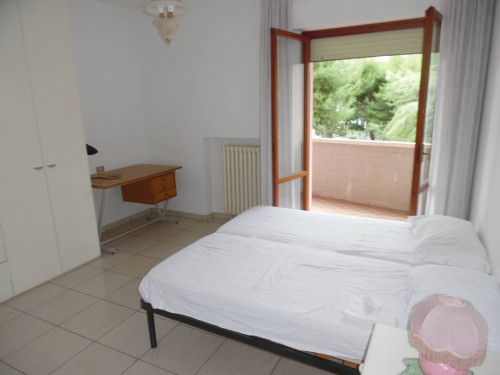Appartamento in affitto a San Benedetto del Tronto
