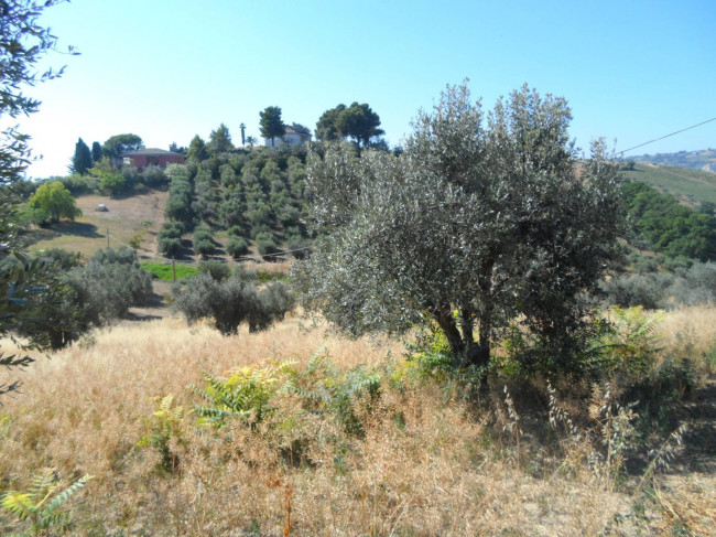 Casolare in vendita a Tortoreto