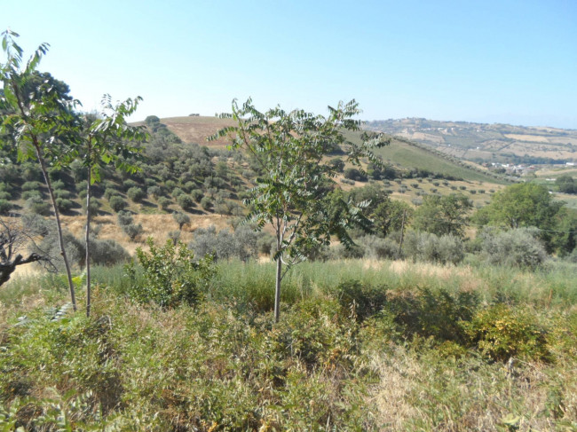 Casolare in vendita a Tortoreto