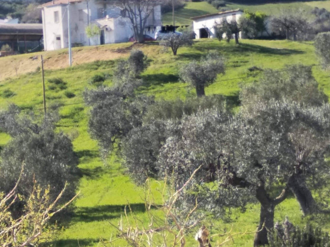 Casolare in vendita a Tortoreto