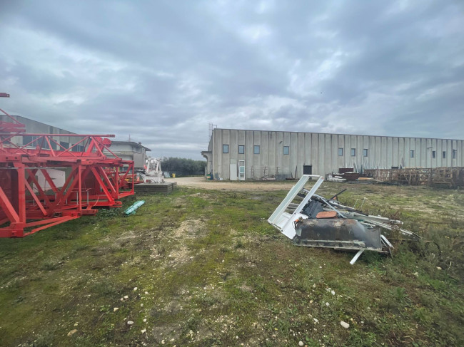 Capannone in vendita a Monteprandone