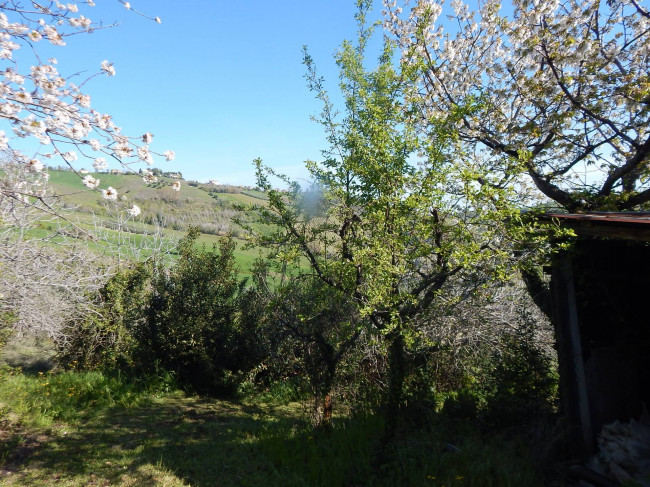 Casolare in vendita a Castignano