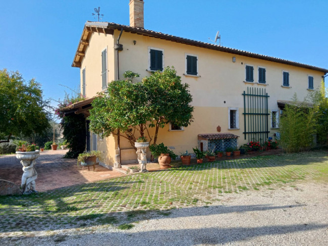 Villa in affitto a Monteprandone