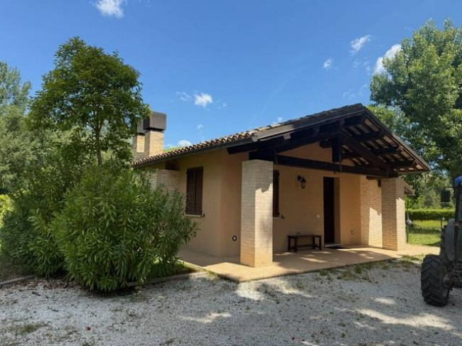 Azienda Agricola in vendita a Carassai