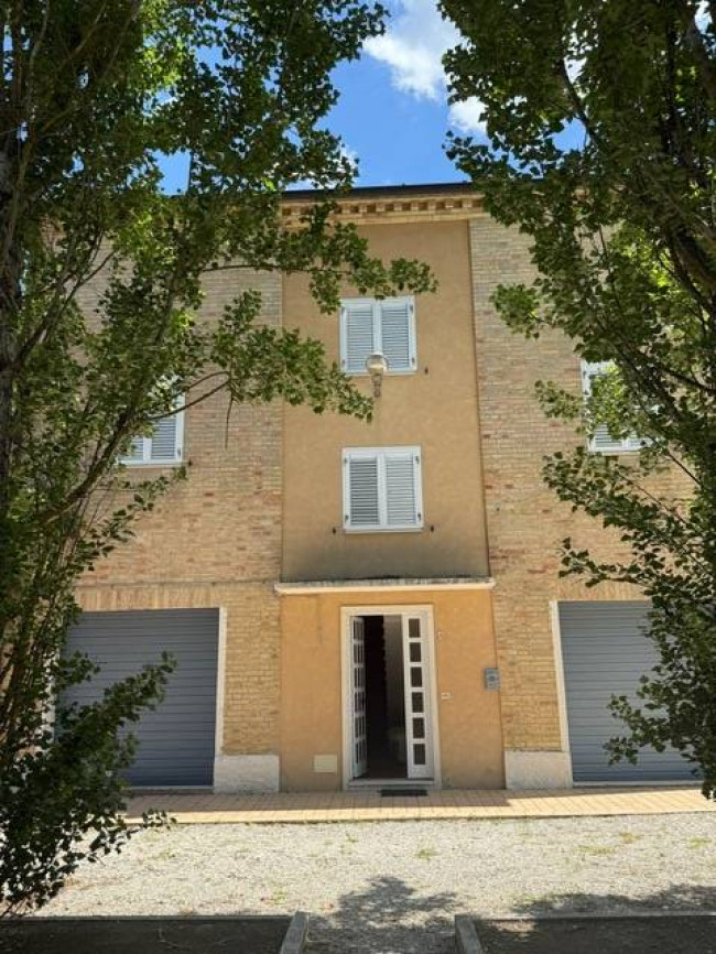 Azienda Agricola in vendita a Carassai