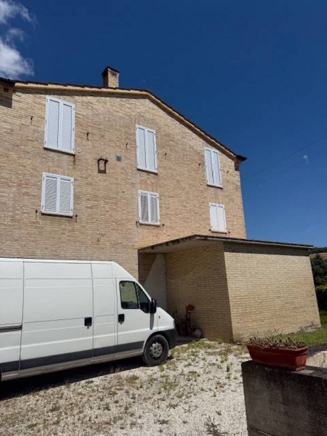 Azienda Agricola in vendita a Carassai