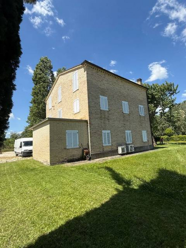 Azienda Agricola in vendita a Carassai