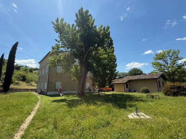 Azienda Agricola in vendita a Carassai