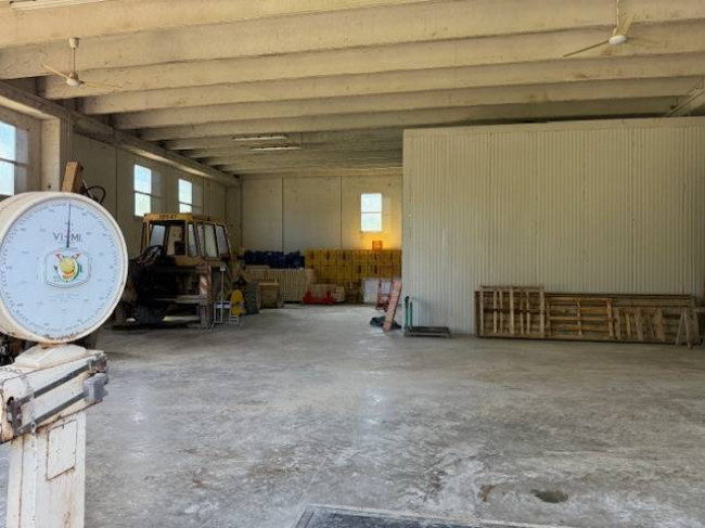 Azienda Agricola in vendita a Carassai