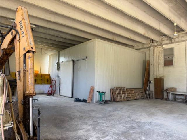 Azienda Agricola in vendita a Carassai