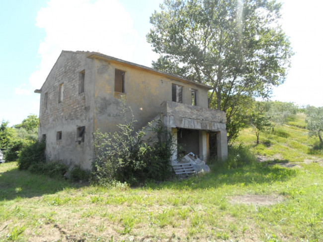Azienda Agricola in vendita a Carassai