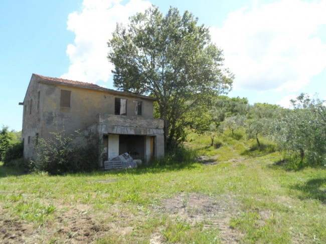 Azienda Agricola in vendita a Carassai