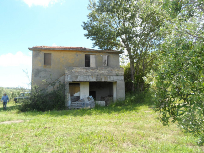 Azienda Agricola in vendita a Carassai