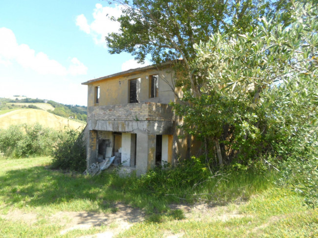 Azienda Agricola in vendita a Carassai