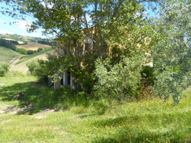 Azienda Agricola in vendita a Carassai