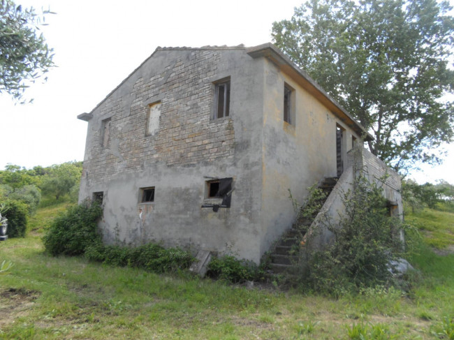 Azienda Agricola in vendita a Carassai