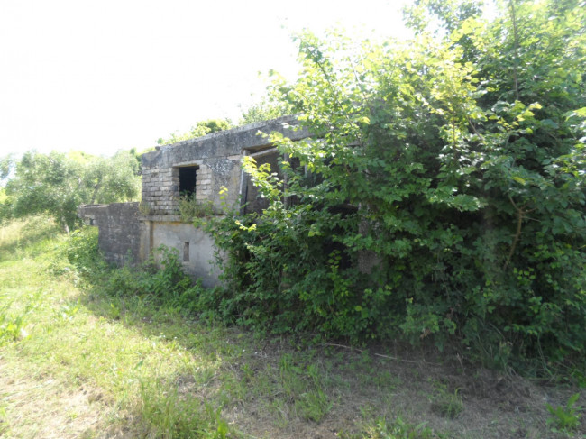 Azienda Agricola in vendita a Carassai