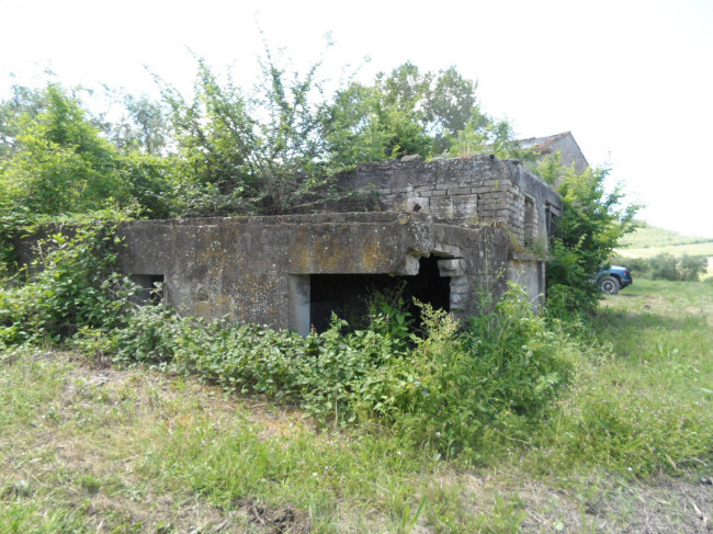 Azienda Agricola in vendita a Carassai