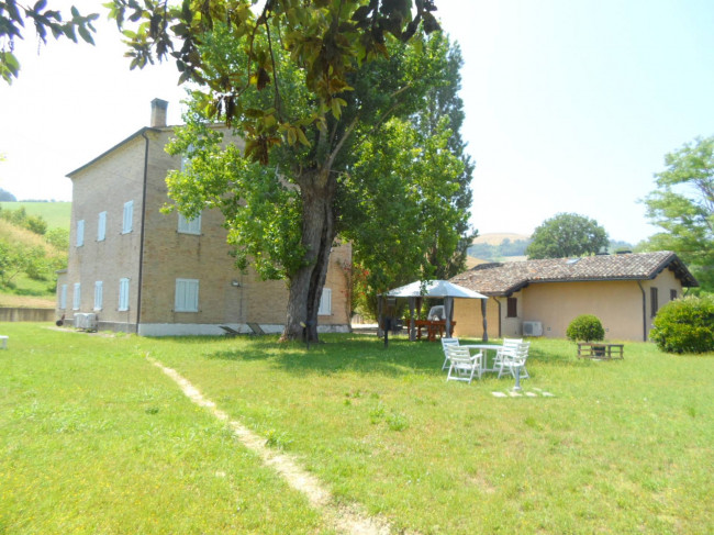 Azienda Agricola in vendita a Carassai