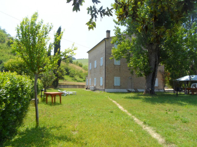 Azienda Agricola in vendita a Carassai