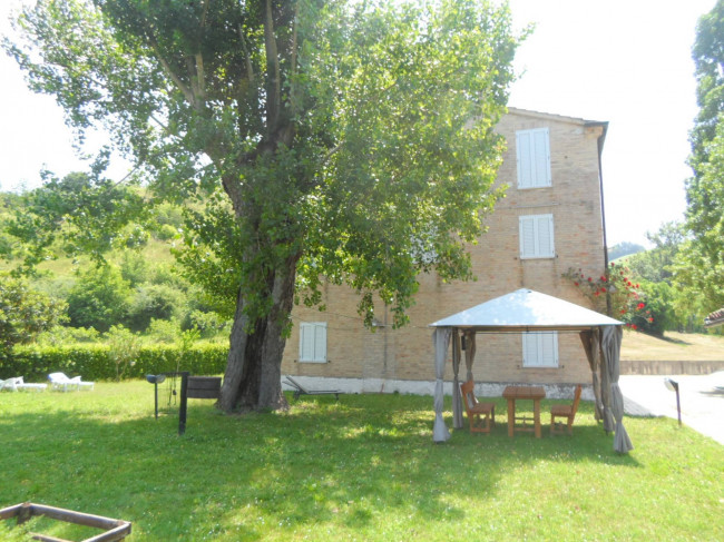 Azienda Agricola in vendita a Carassai