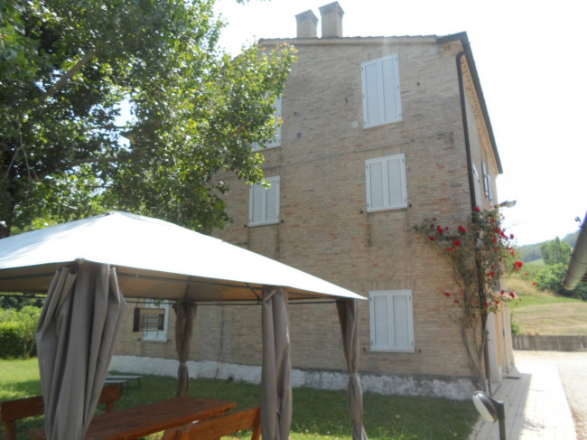 Azienda Agricola in vendita a Carassai