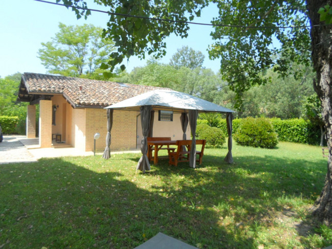 Azienda Agricola in vendita a Carassai