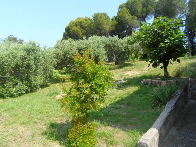Casa singola in vendita a Colonnella