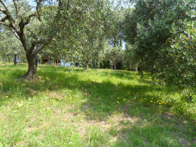 Casa singola in vendita a Colonnella