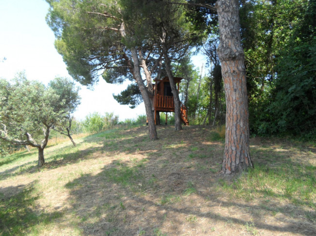 Casa singola in vendita a Colonnella