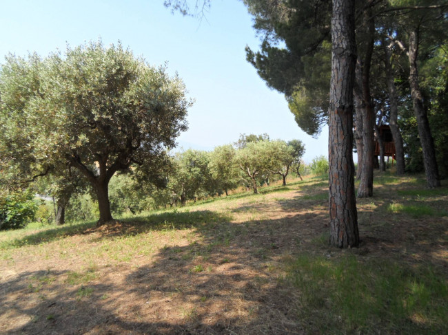 Casa singola in vendita a Colonnella