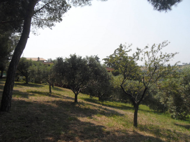 Casa singola in vendita a Colonnella