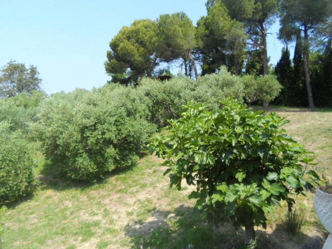 Casa singola in vendita a Colonnella