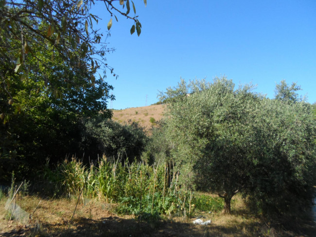 Terreno Agricolo in vendita a Monteprandone