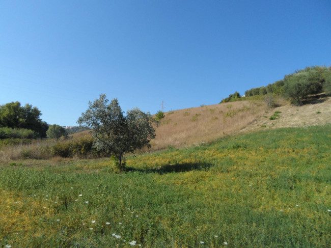 Terreno Agricolo in vendita a Monteprandone