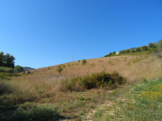 Terreno Agricolo in vendita a Monteprandone