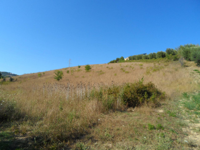 Terreno Agricolo in vendita a Monteprandone