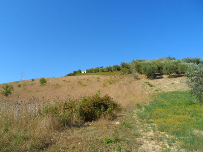 Terreno Agricolo in vendita a Monteprandone