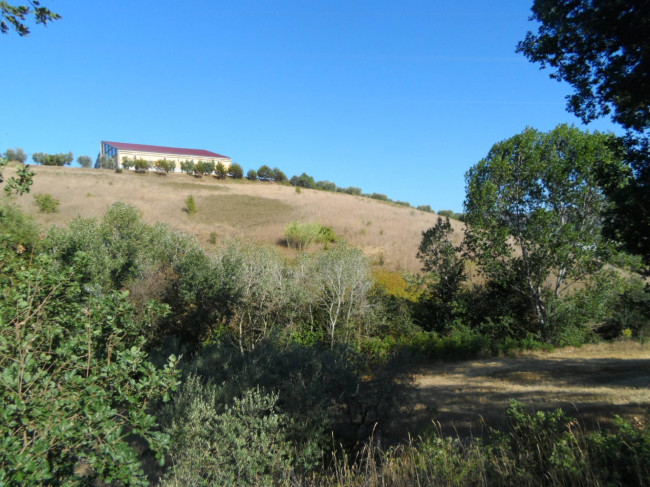 Terreno Agricolo in vendita a Monteprandone