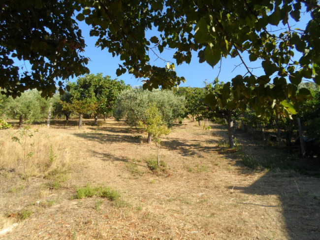 Terreno edificabile in vendita a Colonnella