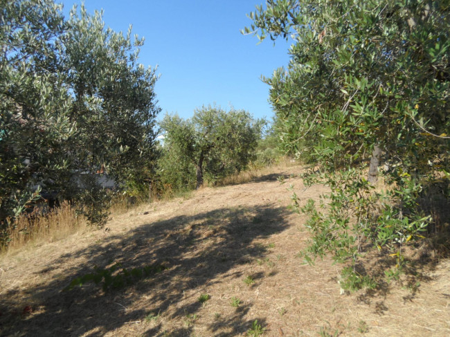 Terreno edificabile in vendita a Colonnella