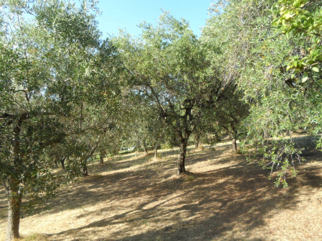 Terreno edificabile in vendita a Colonnella